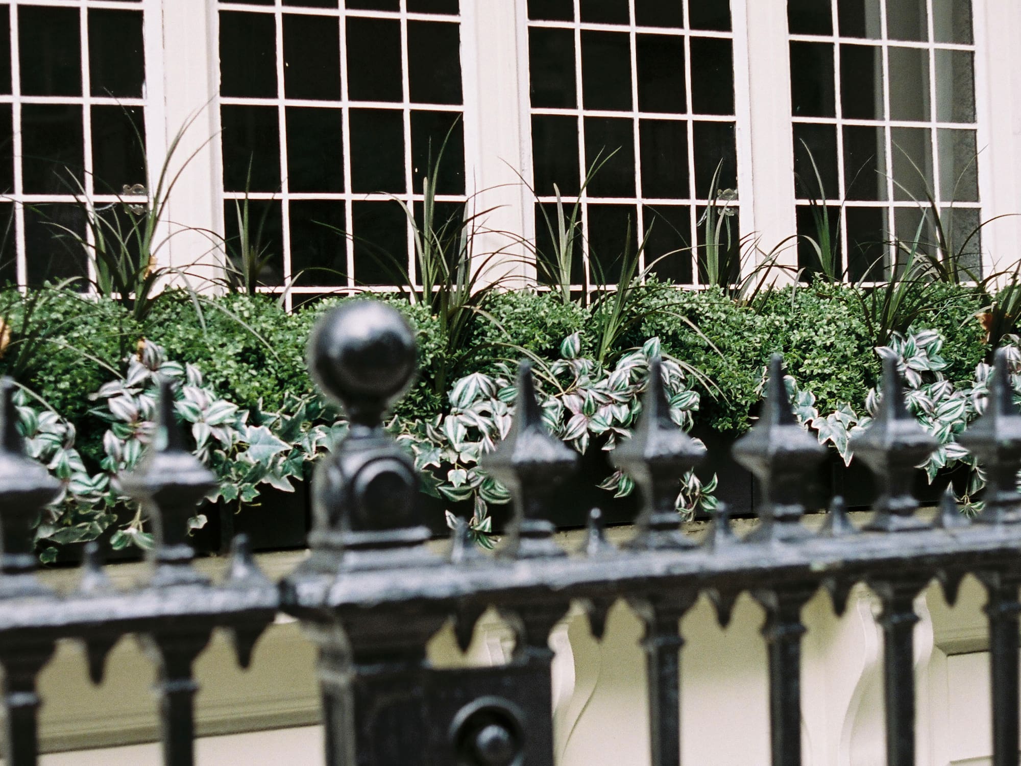 A building framed by a black fence and plants at the front.