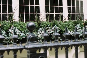 a black fence with plants in the front of a building