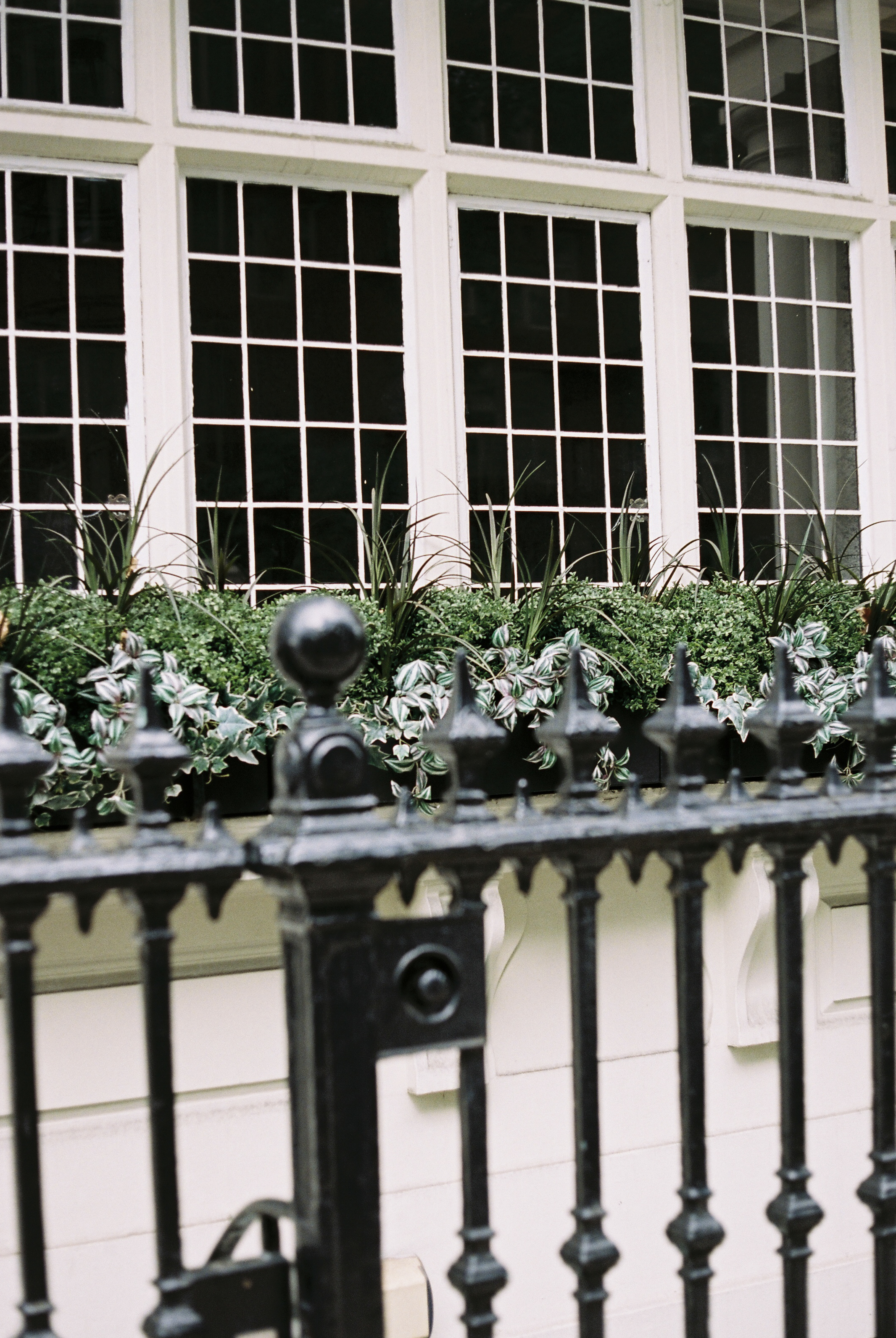 A building framed by a black fence and plants at the front.