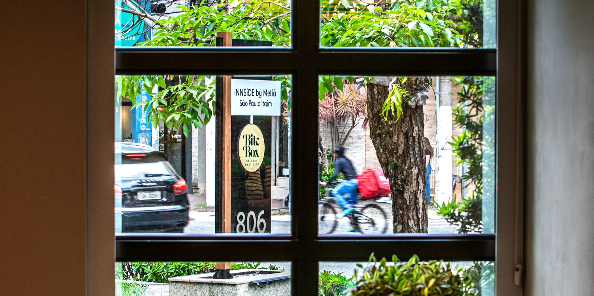 a window with a plant and a person on the street