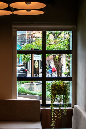 a window with a plant and a person on the street