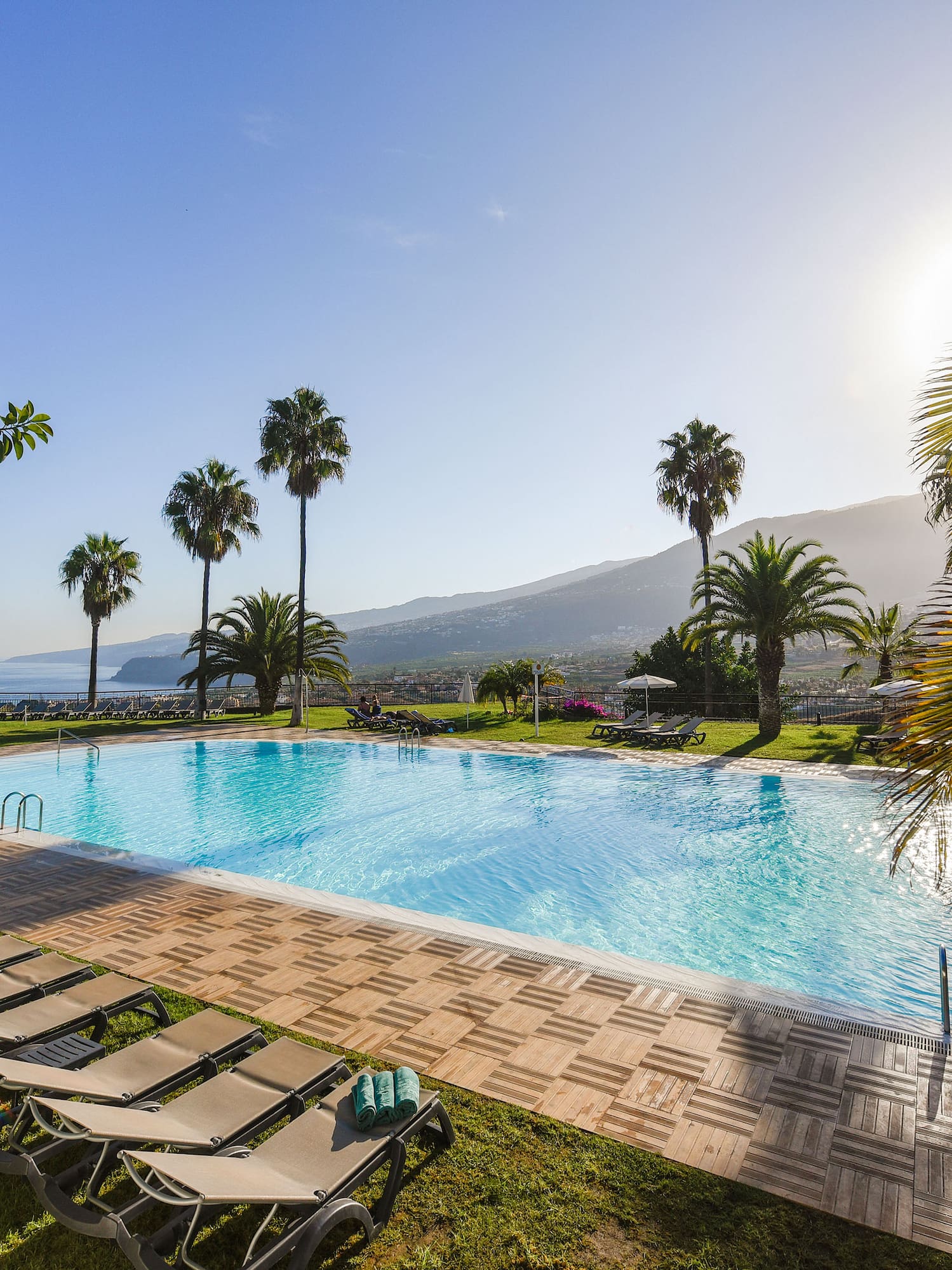 a pool with chairs and palm trees
