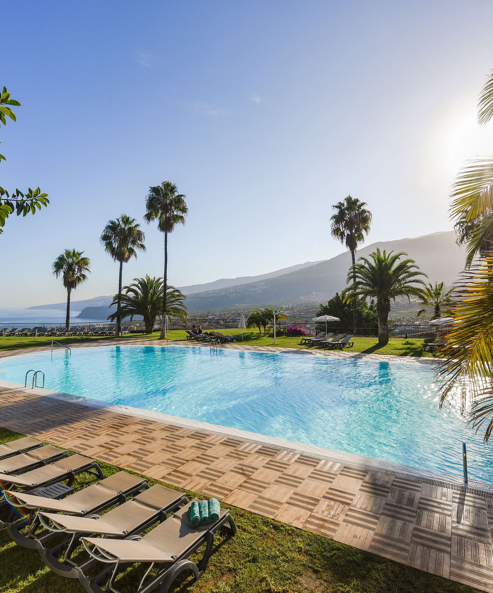 a pool with chairs and palm trees