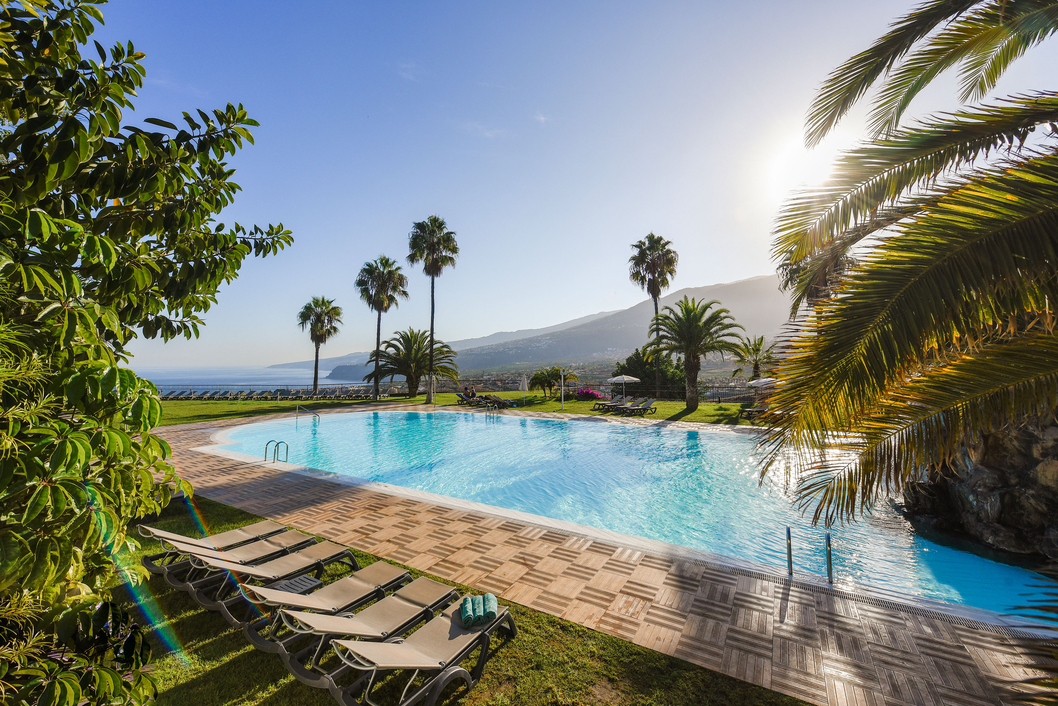 a pool with chairs and palm trees