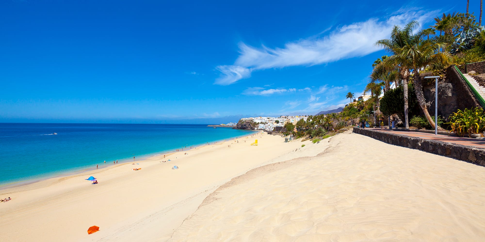 a beach with palm trees and blue water