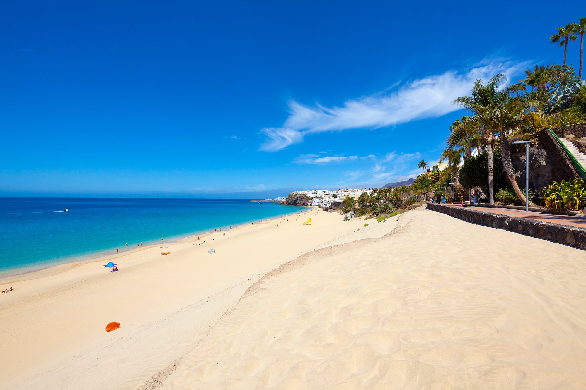 a beach with palm trees and blue water