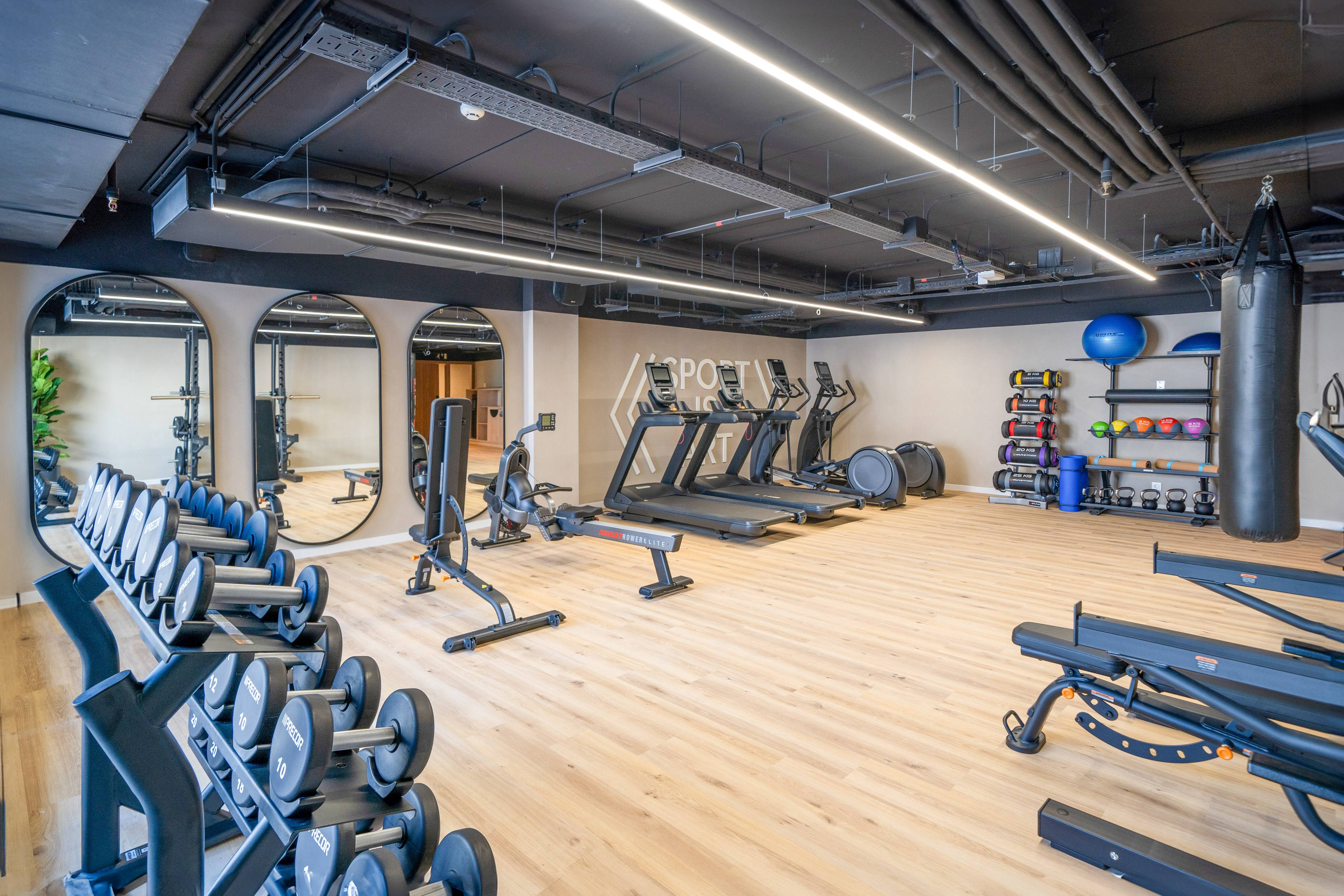 Modern gym with cardio machines, dumbbells, weight racks, and punching bag.