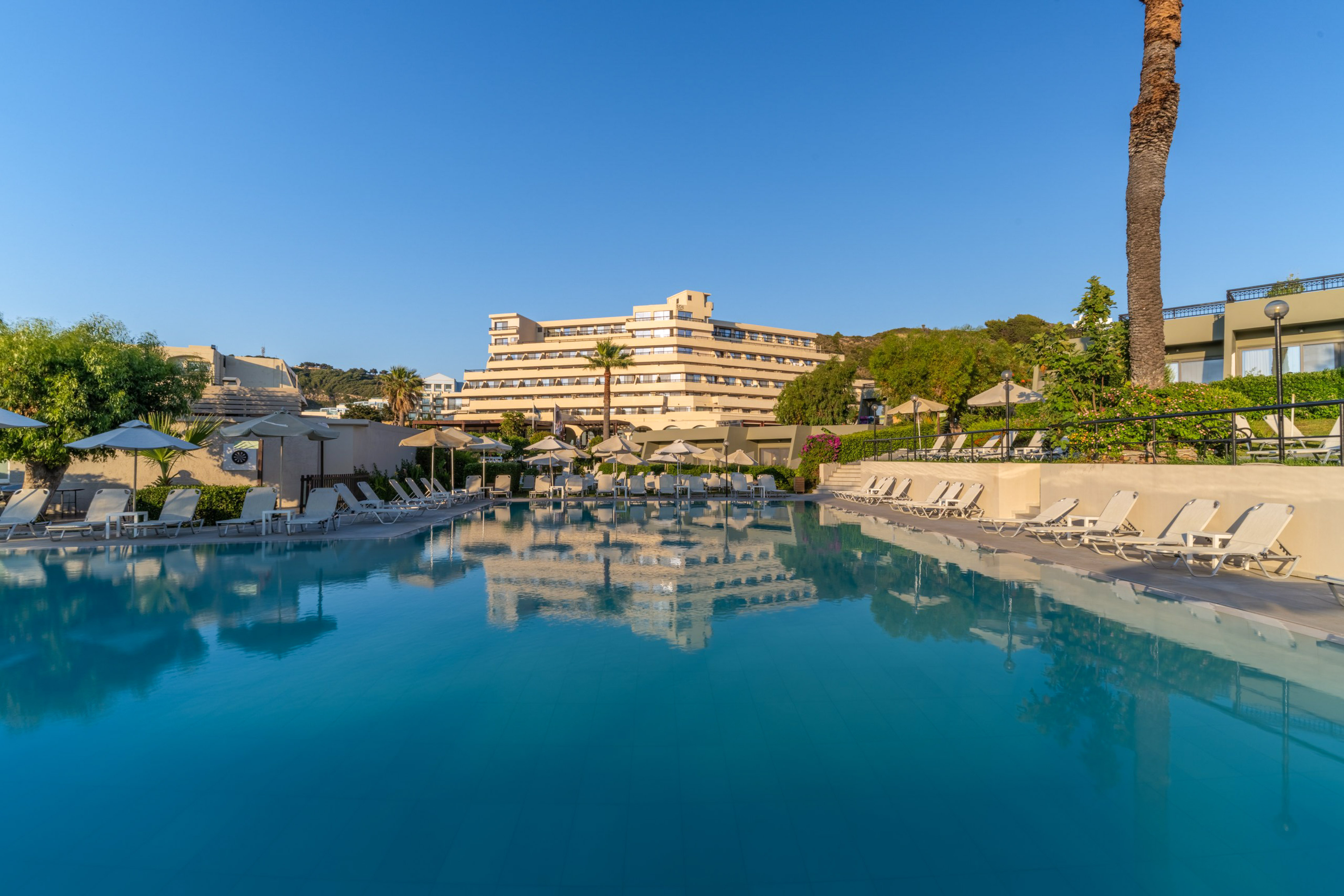 Sunny resort swimming pool with hotel reflection, loungers, and palm trees.