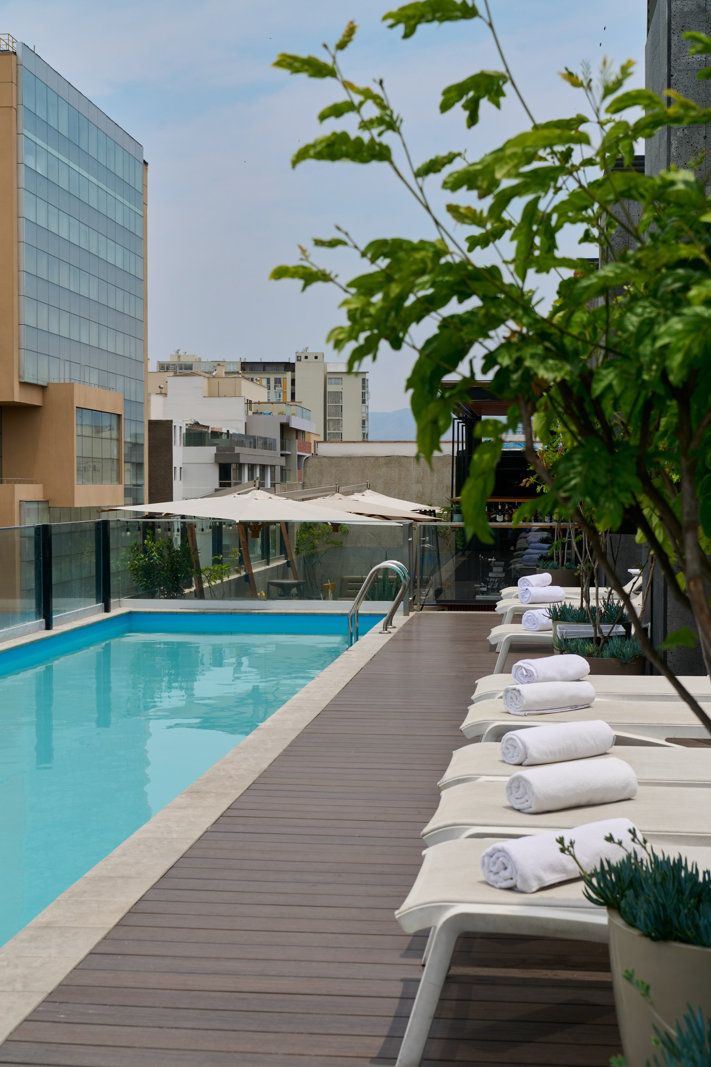 Rooftop pool deck with lounge chairs, rolled towels, city skyline, and green foliage.