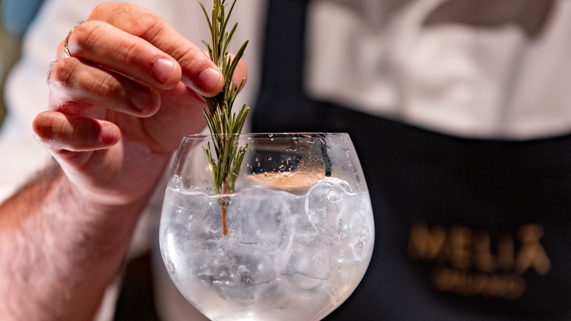 a person holding a sprig of rosemary in a glass of water