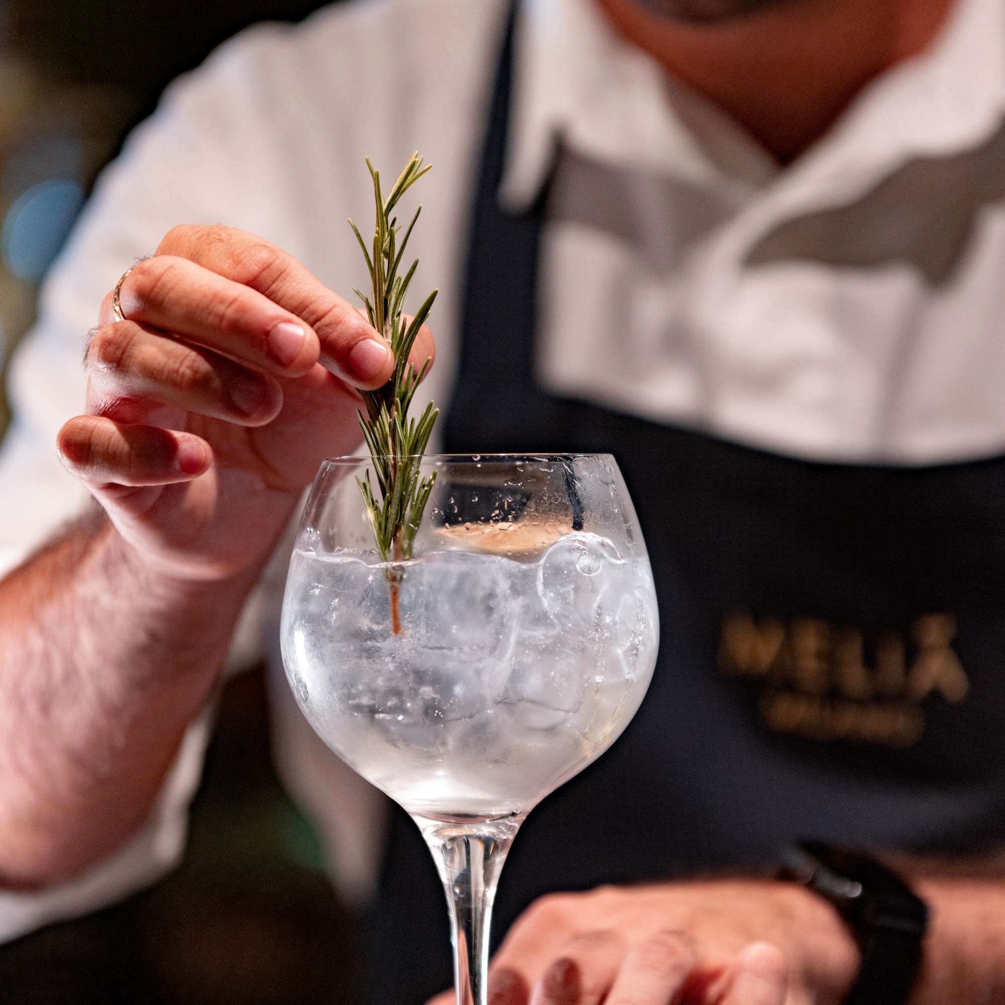 Bartender garnishing a gin and tonic cocktail with fresh rosemary.