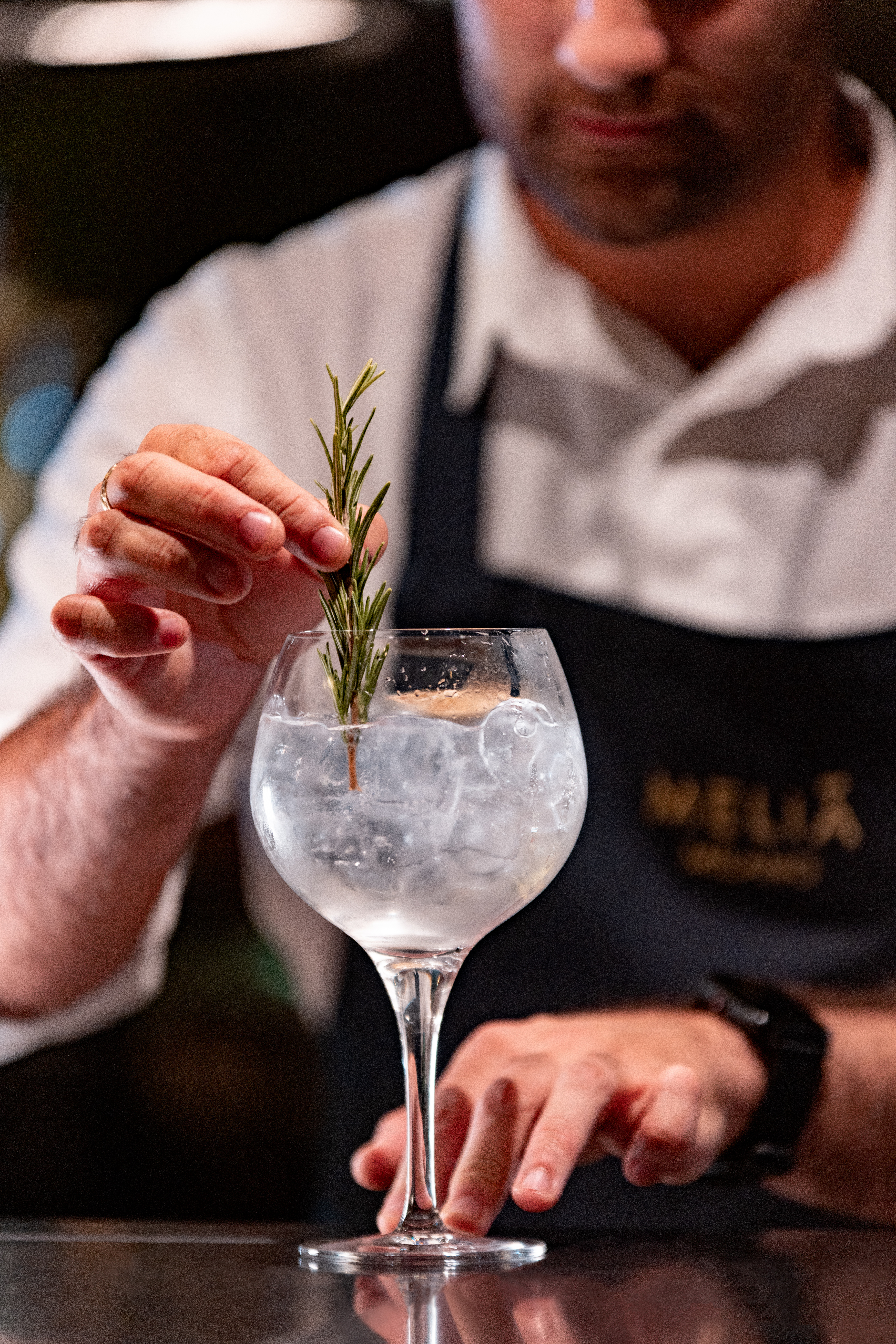 Bartender garnishing a gin and tonic cocktail with fresh rosemary.