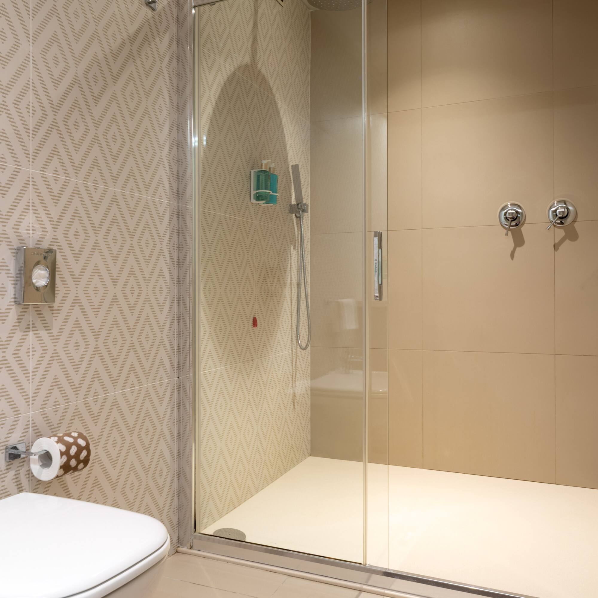 a shower with a toilet and a toilet