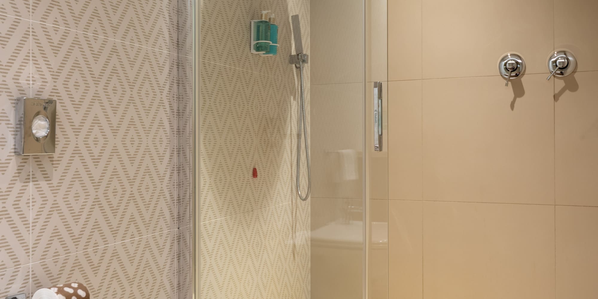 a shower with a toilet and a toilet