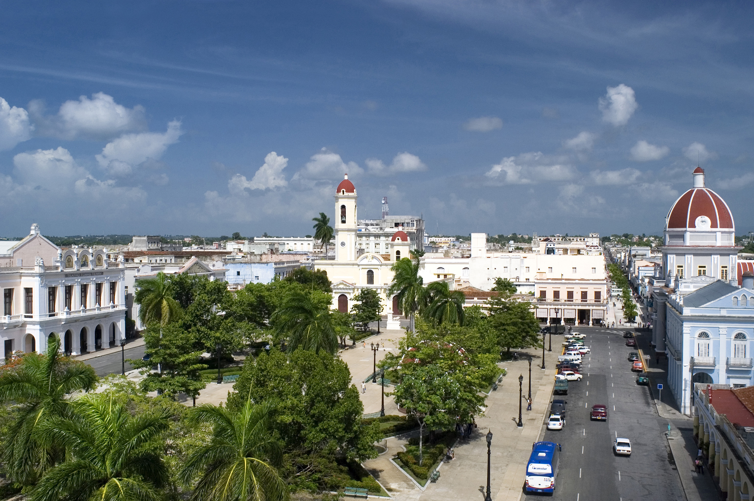 a city with trees and a tower