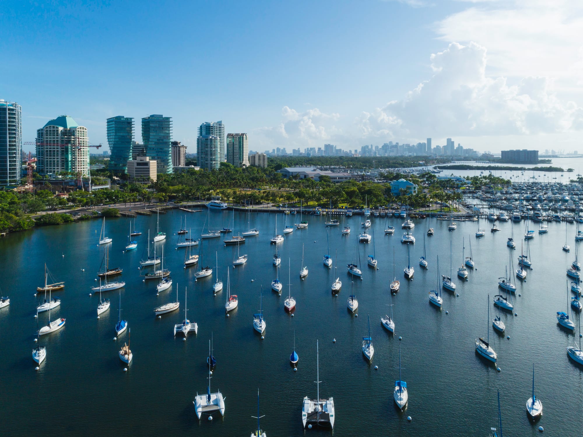 Marina de Coconut Grove, Miami, con docenas de veleros y edificios altos.