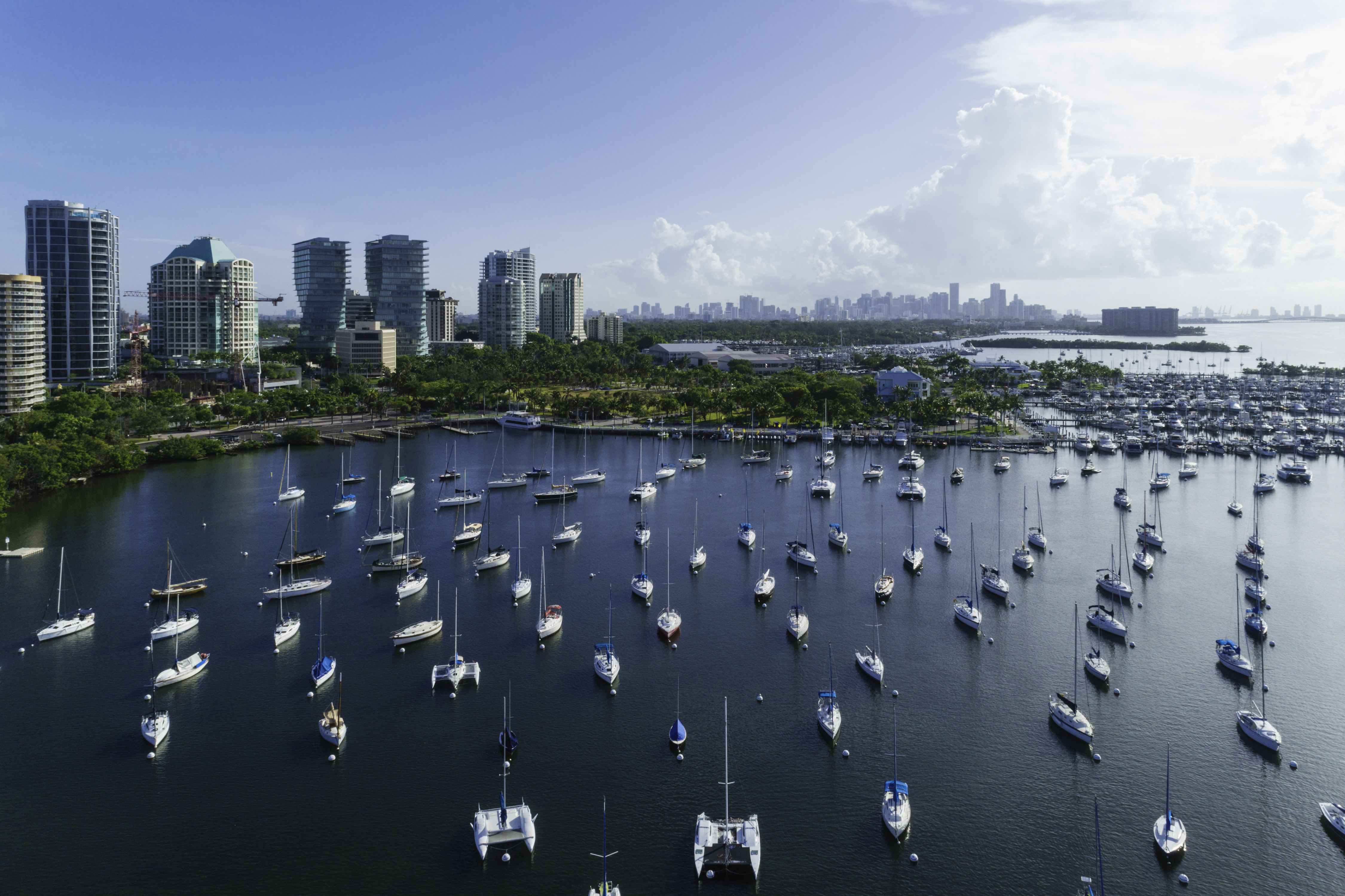 Marina de Coconut Grove, Miami, con docenas de veleros y edificios altos.