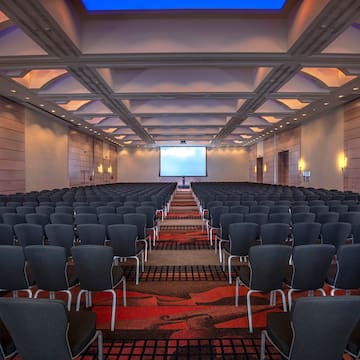 a room with rows of chairs