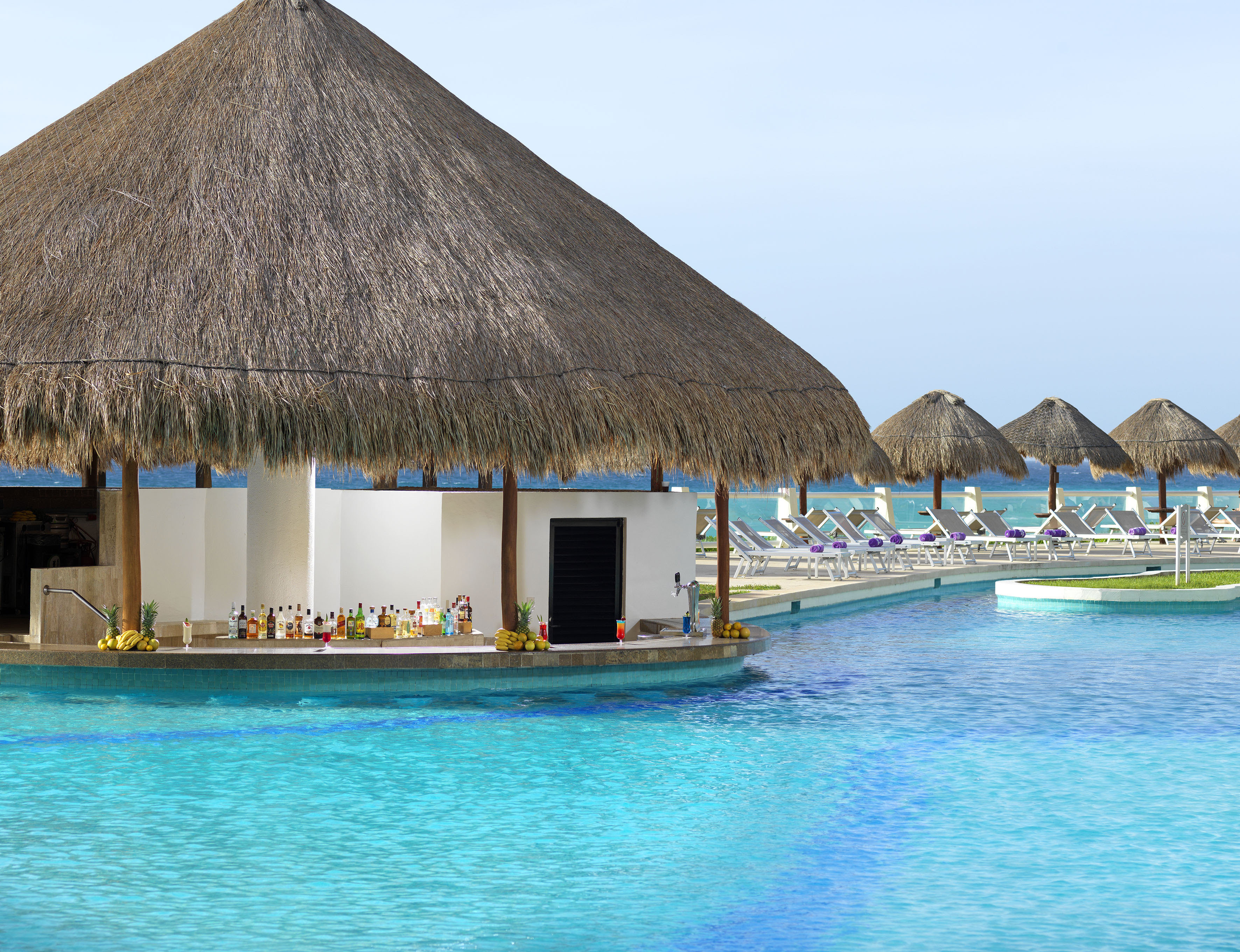 a pool with a thatched roof and a bar