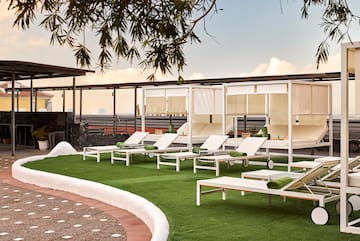 a group of lounge chairs on a green lawn