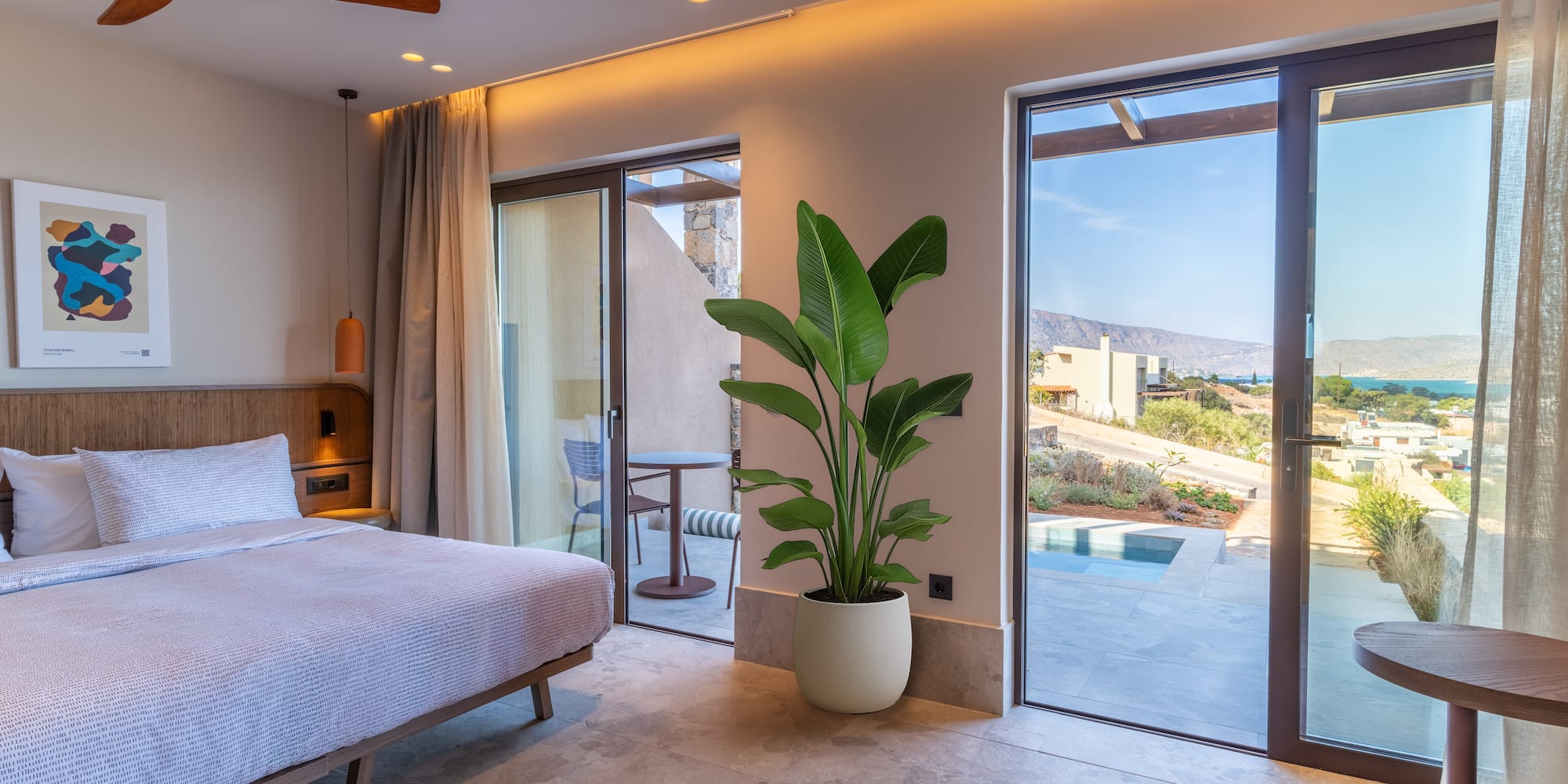 a bedroom with a large plant and glass doors