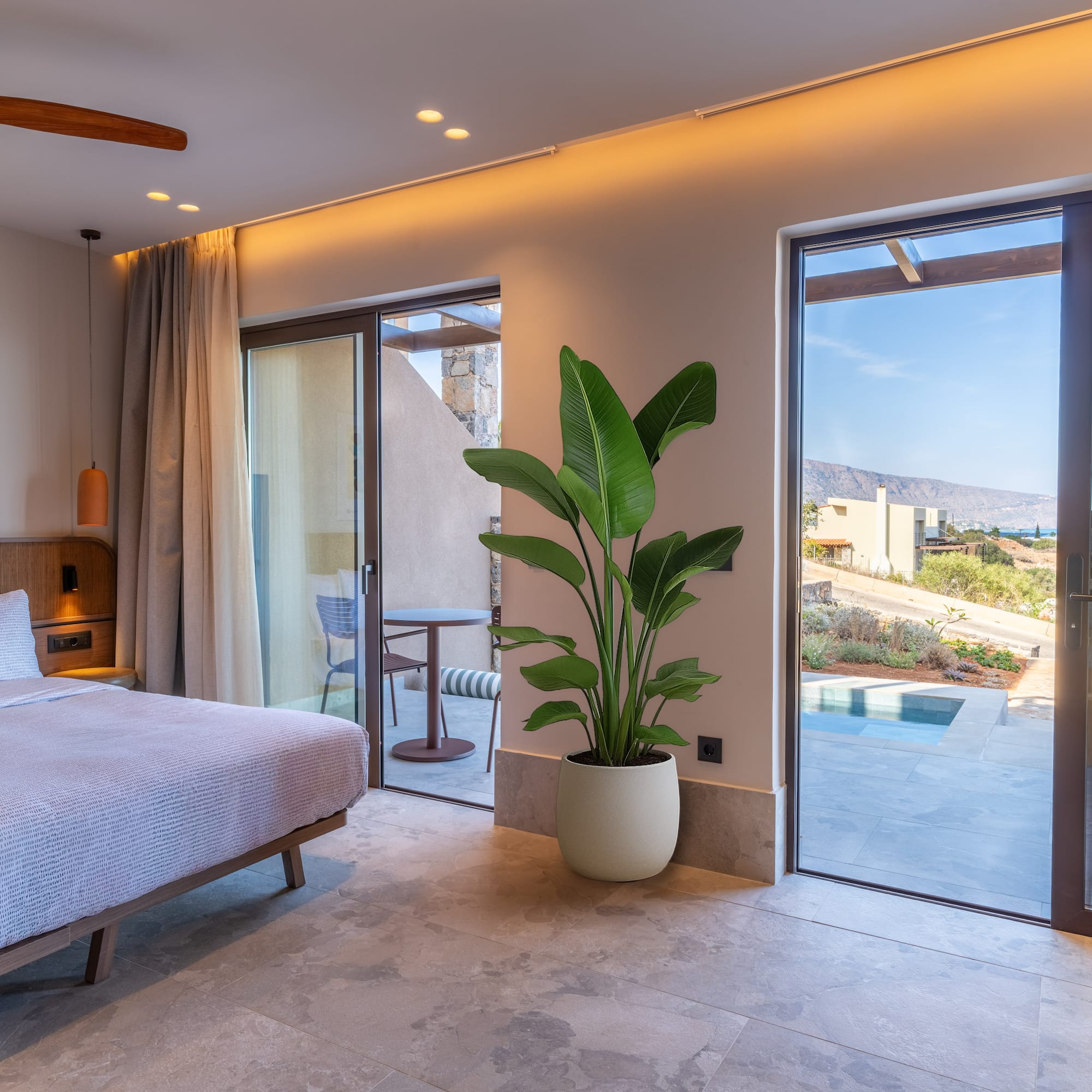 a bedroom with a large plant and glass doors