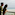 Couple on balcony viewing tropical beach, ocean, and windsurfer.
