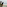 Couple on balcony viewing tropical beach, ocean, and windsurfer.