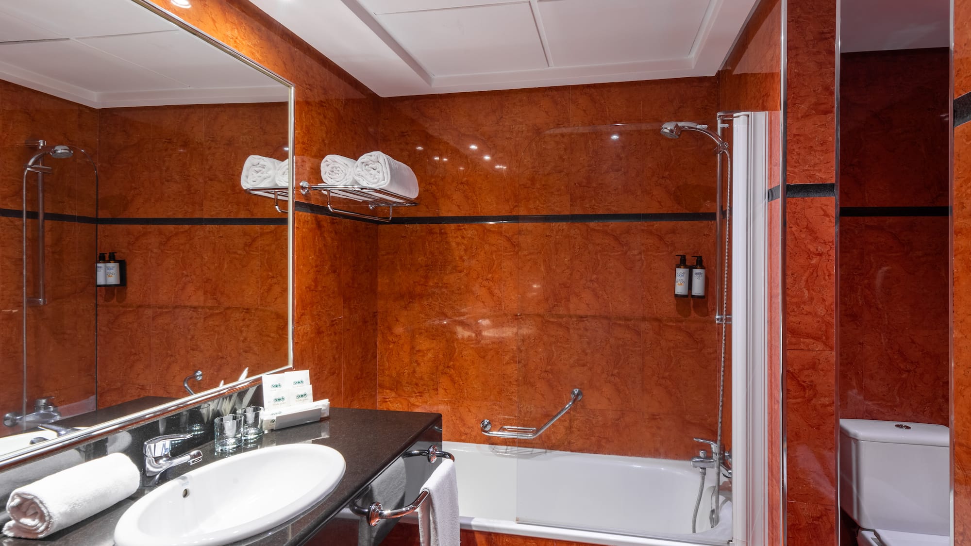 a bathroom with a sink and a shower