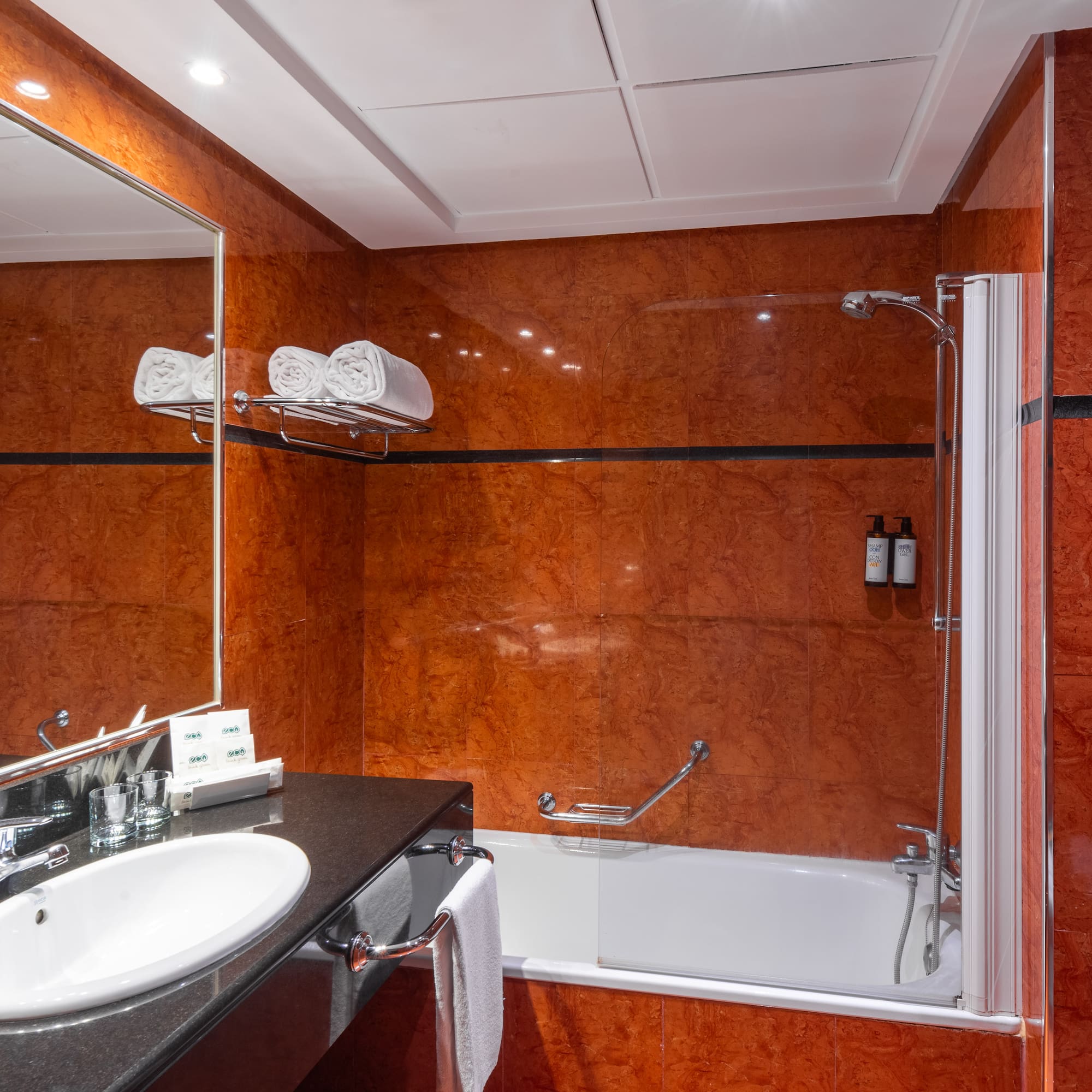 a bathroom with a sink and a shower