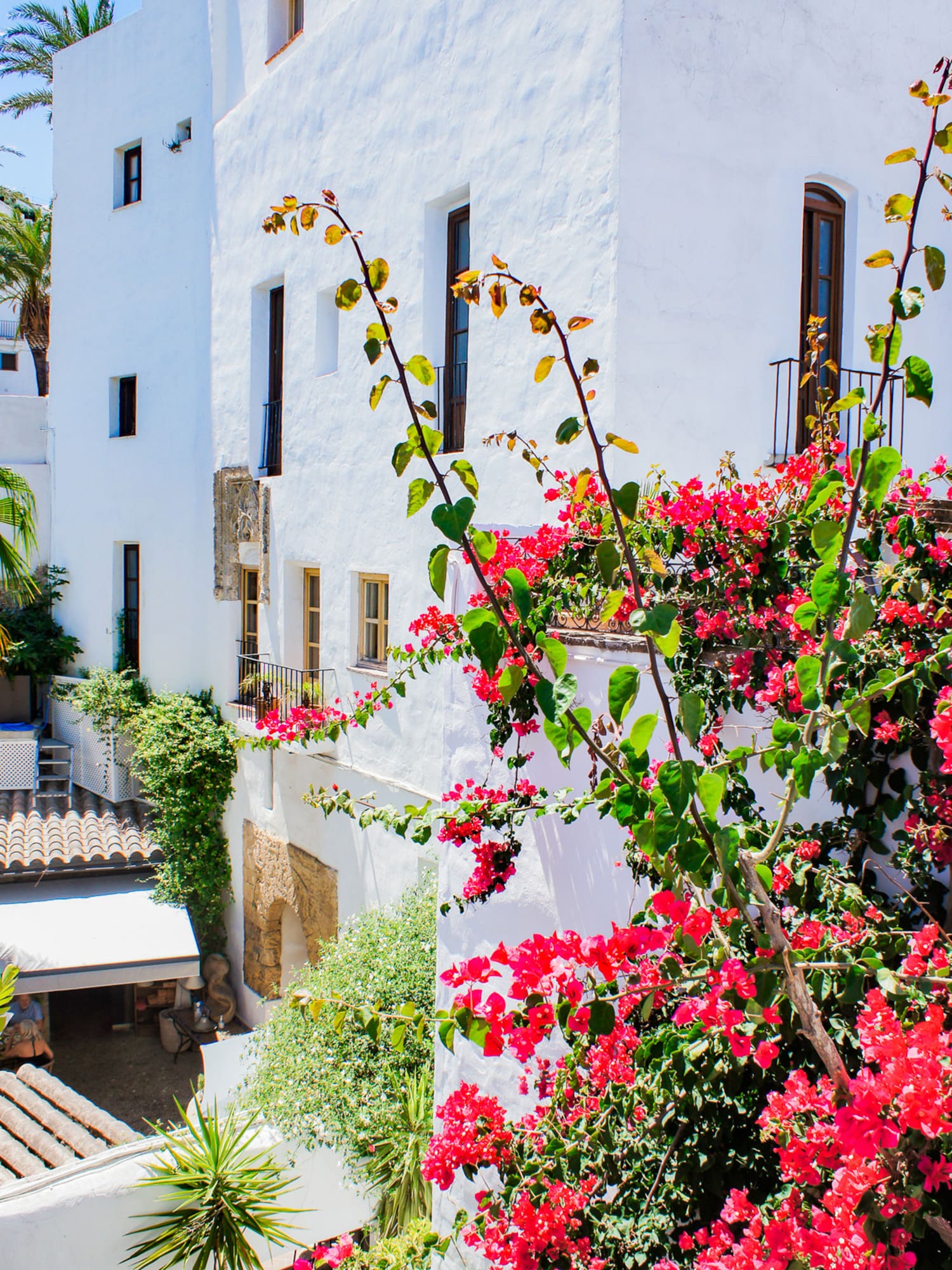 a white building with red flowers