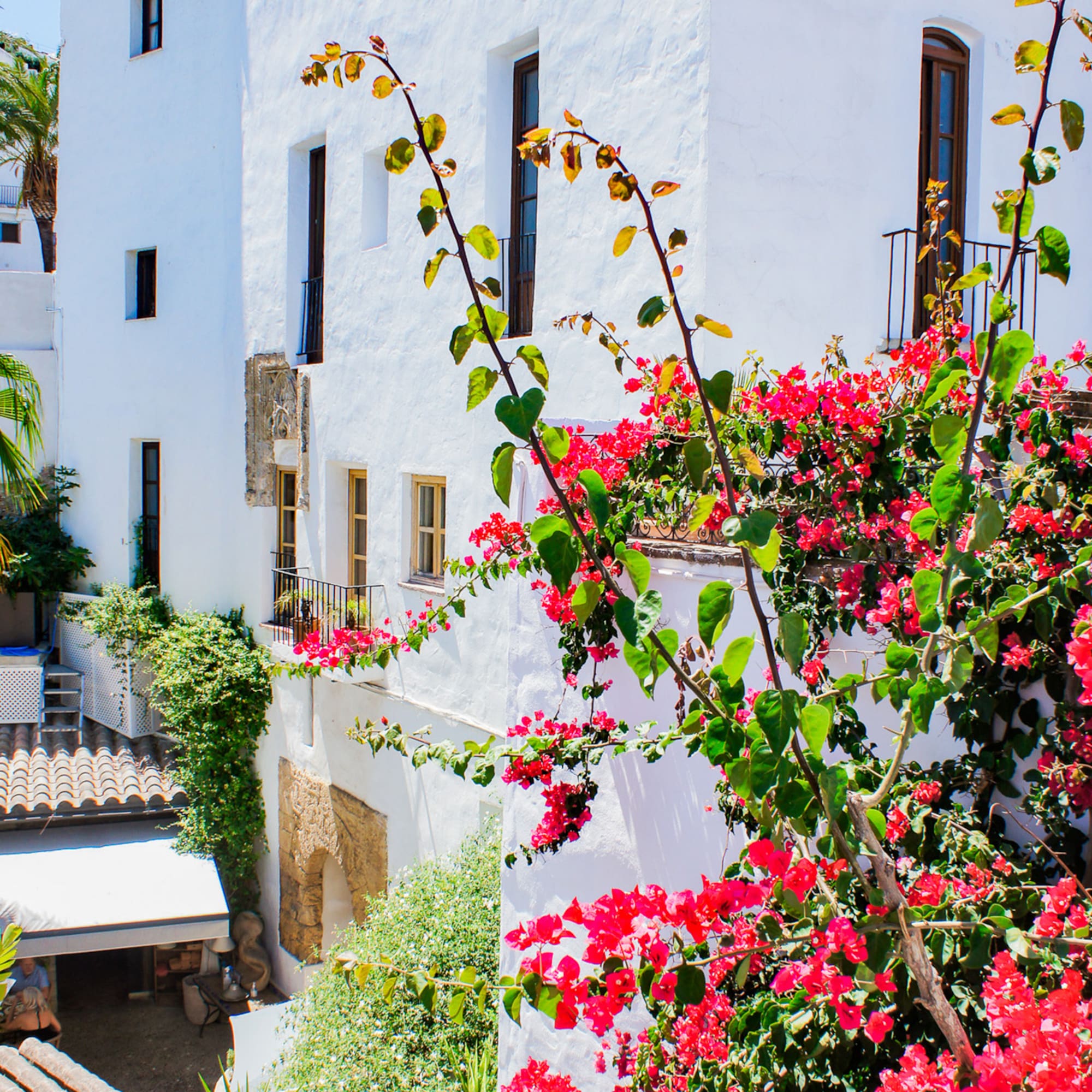 a white building with red flowers