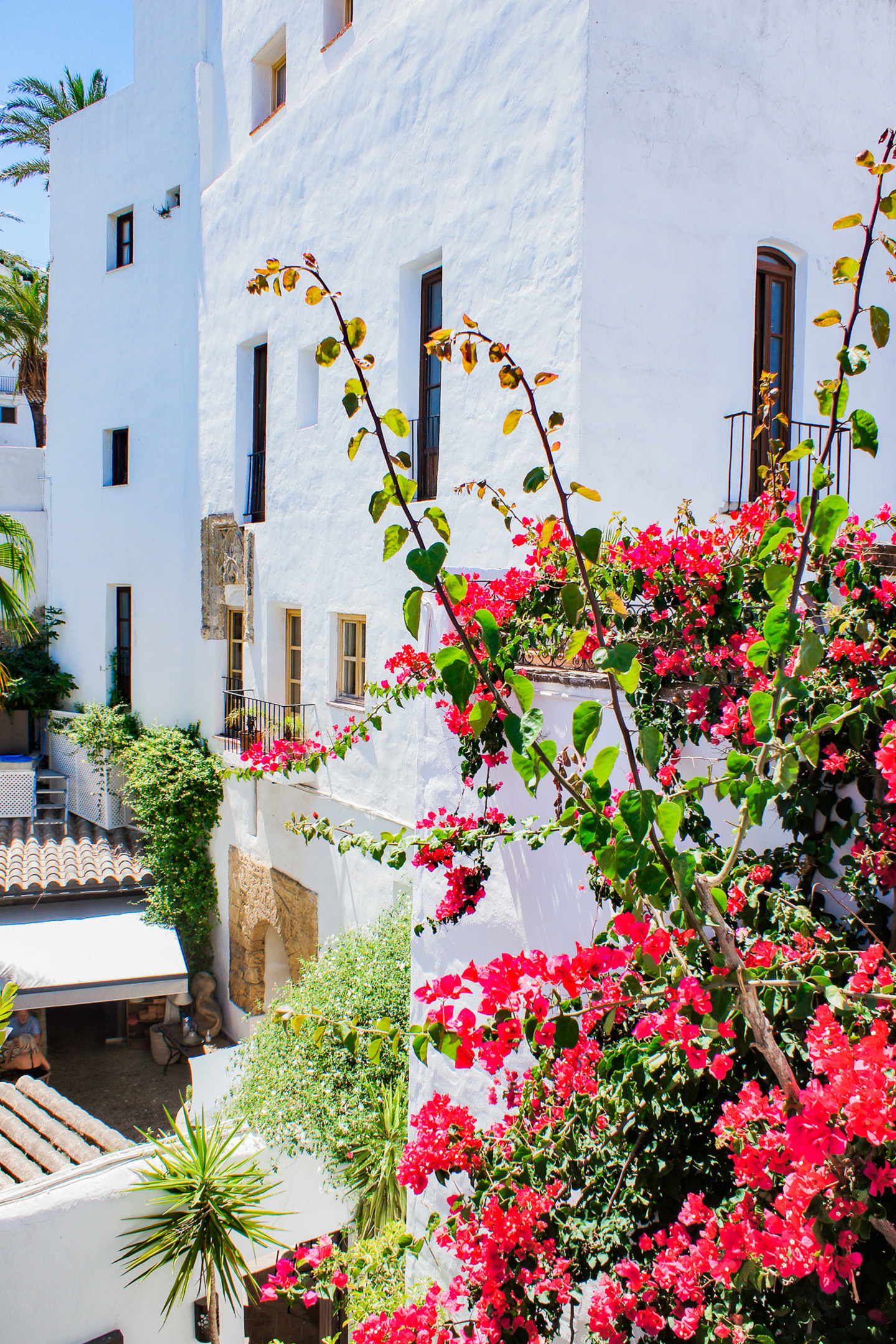 a white building with red flowers