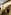 Couple in elaborate Renaissance costumes descending grand villa stairs.
