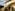 Couple in elaborate Renaissance costumes descending grand villa stairs.