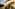 Couple in elaborate Renaissance costumes descending grand villa stairs.