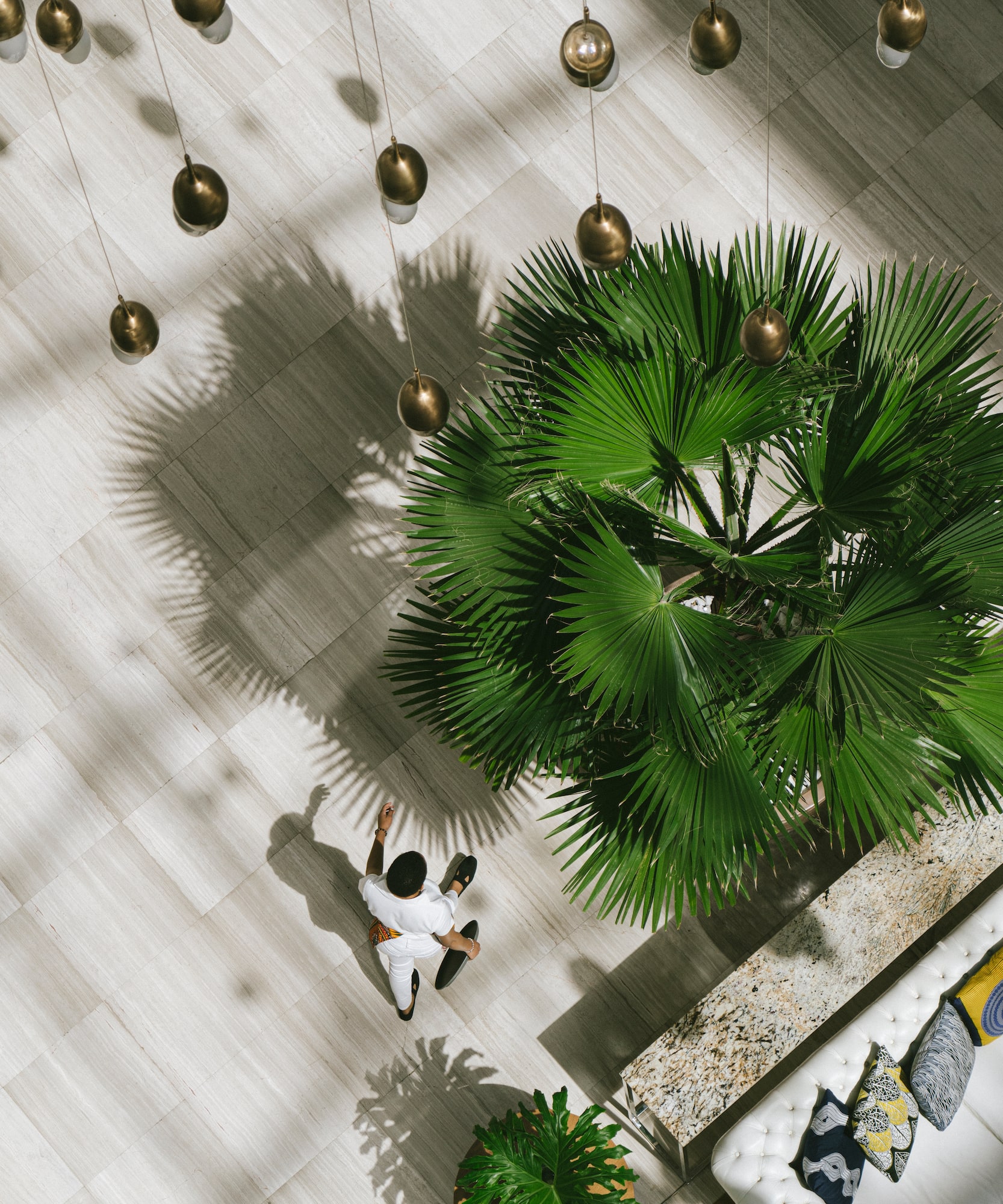 a person sitting on a floor with a large plant