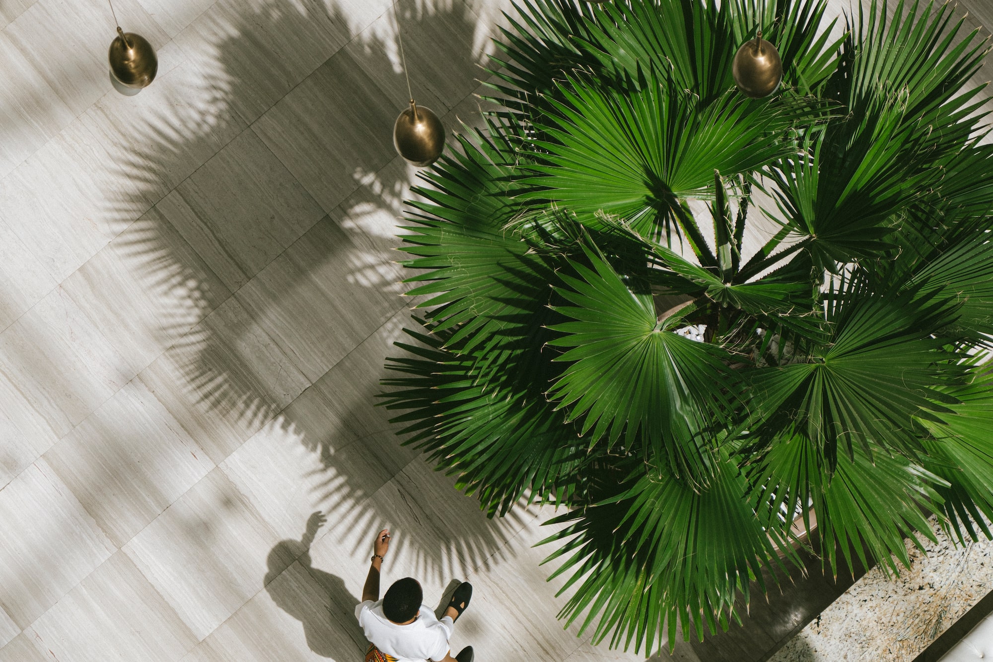 a person sitting on a floor with a large plant