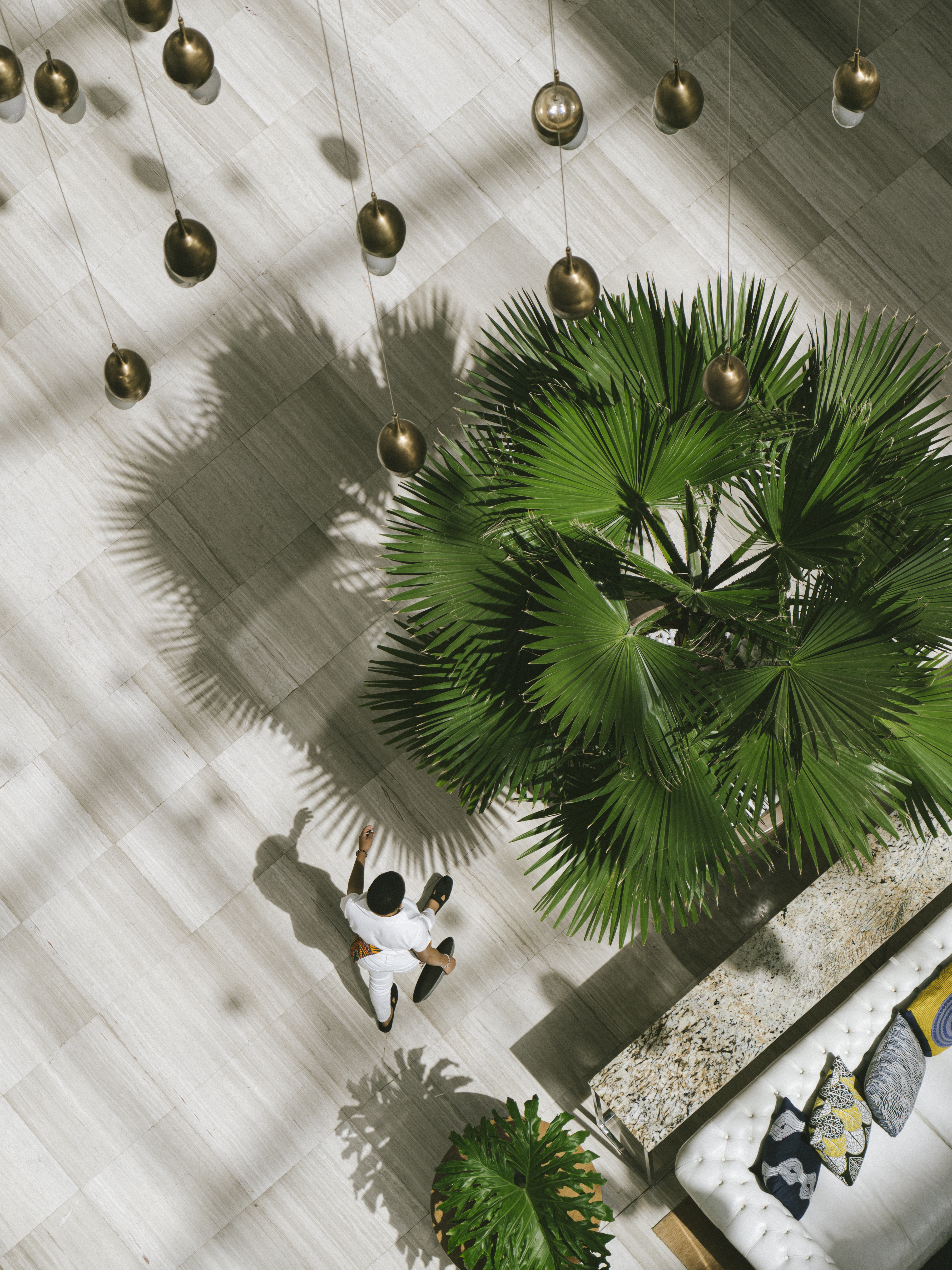 a person sitting on a floor with a large plant