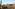 a desert landscape with palm trees and cactuses