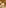 Chef arranging fresh food and wine on a table for a culinary event.