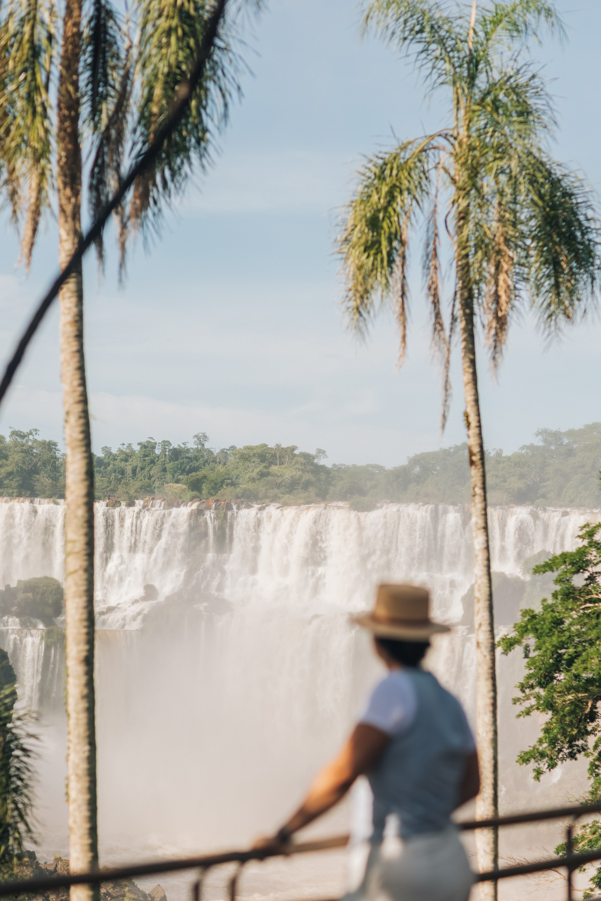 Person in hat views tropical waterfall framed by palm trees.