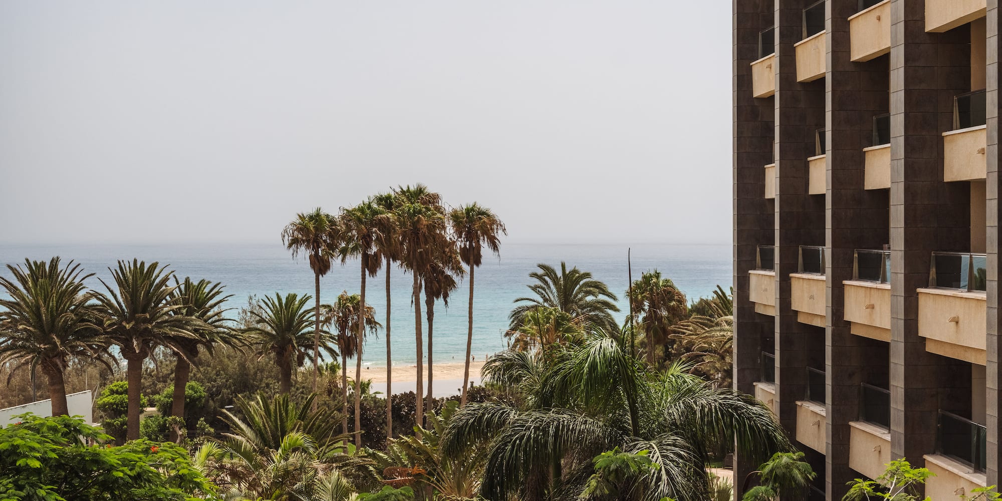 a building with palm trees and a body of water