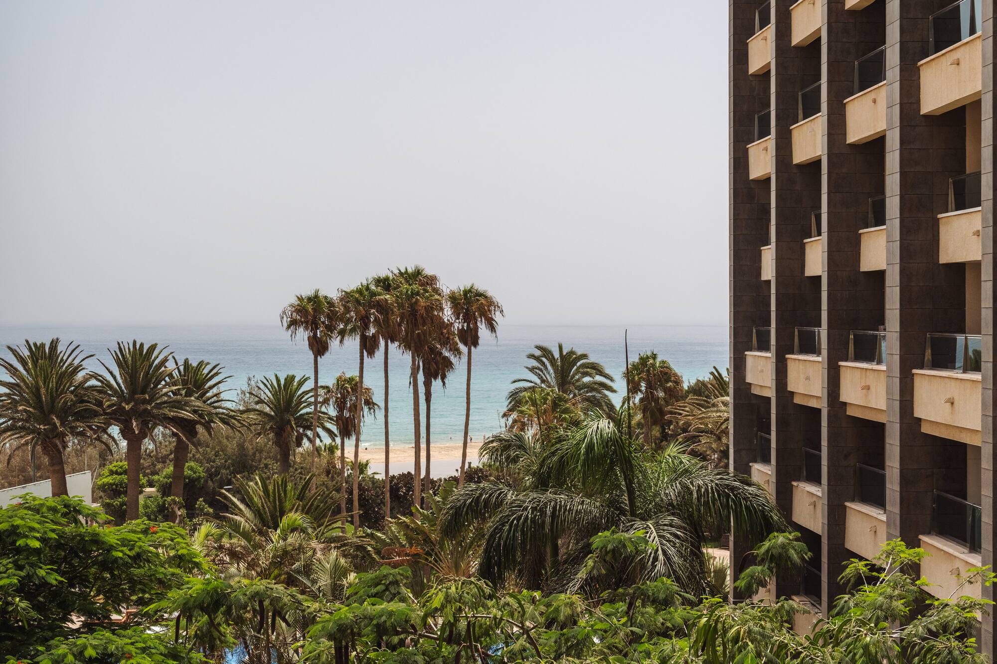 a building with palm trees and a body of water