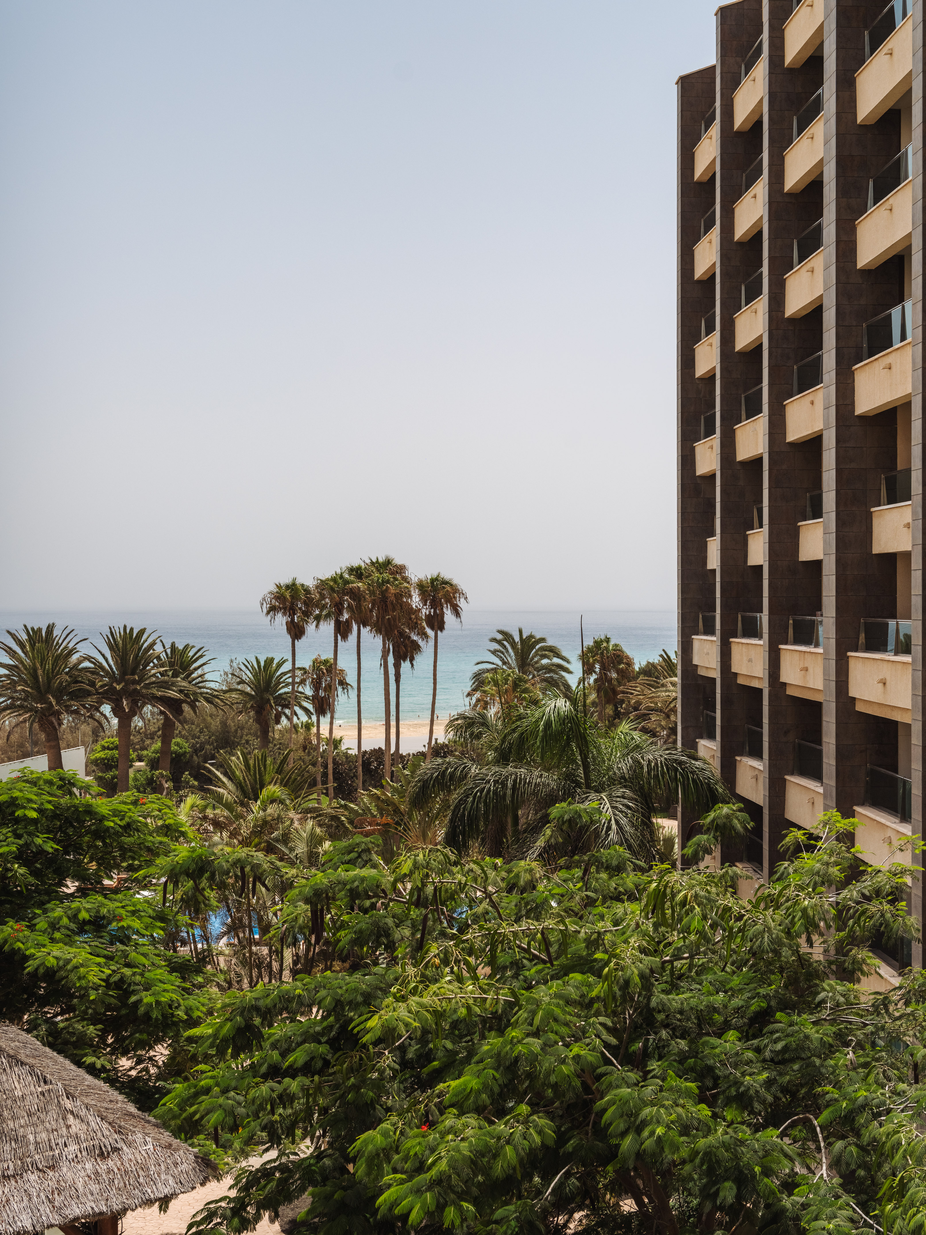 Tropical resort view: modern hotel, palm trees, and blue ocean.