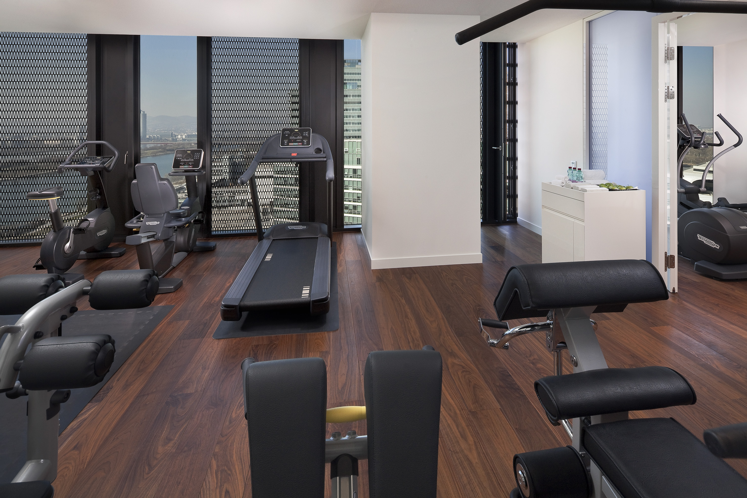 Hotel fitness center with treadmill, exercise bikes, and city skyline view.