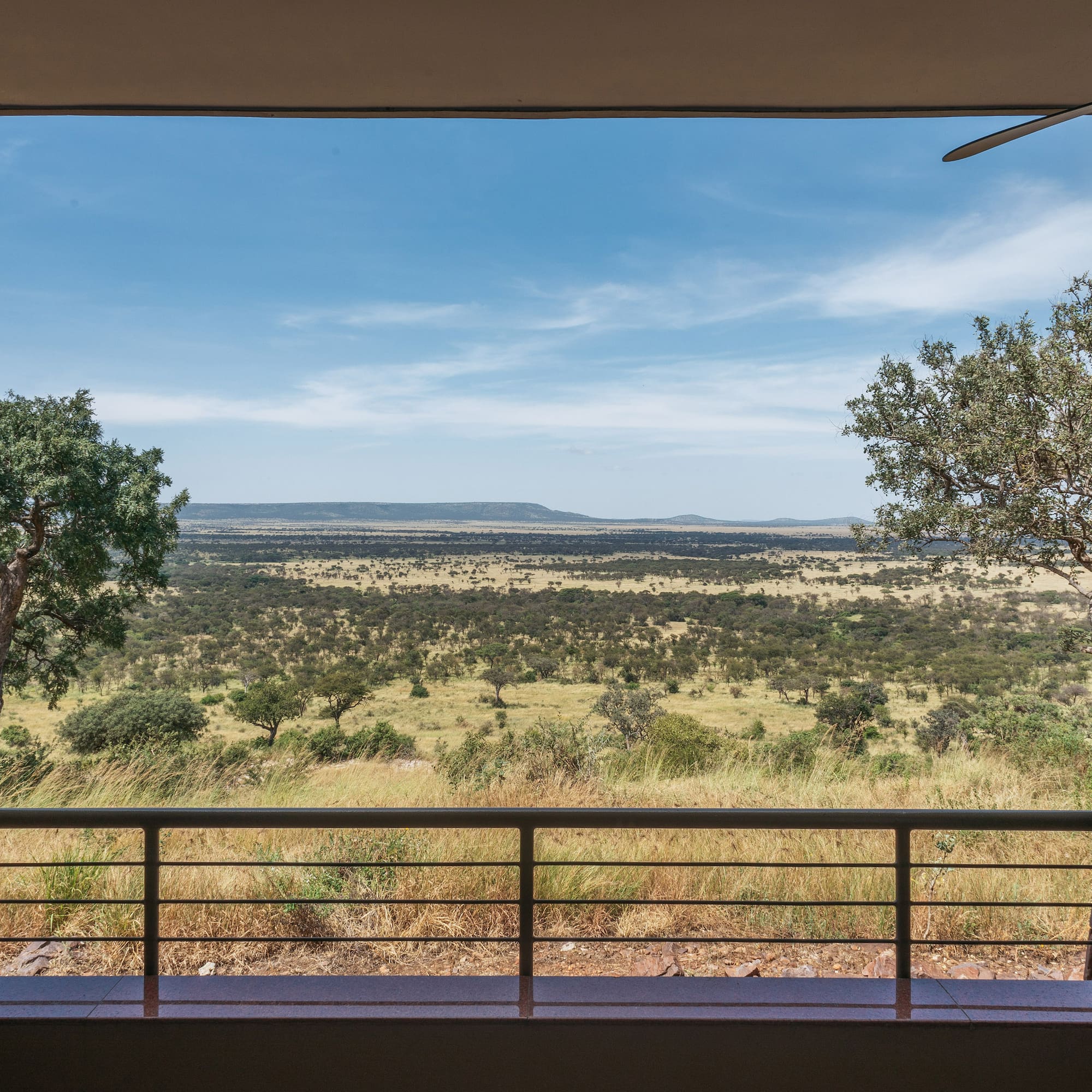 African safari lodge balcony view of vast savanna landscape.