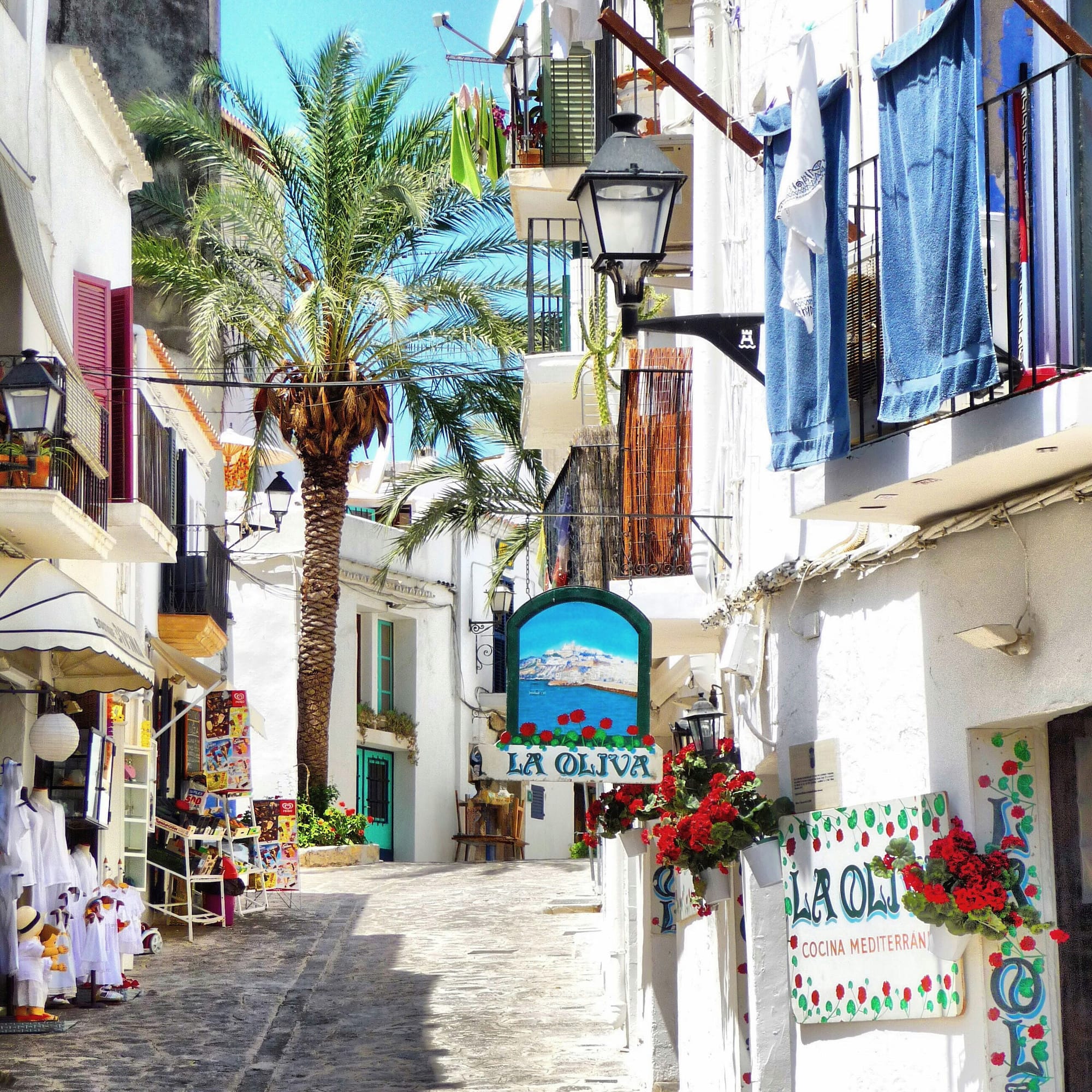 White-washed Mediterranean alley, palm tree, red flowers, La Oliva restaurant.