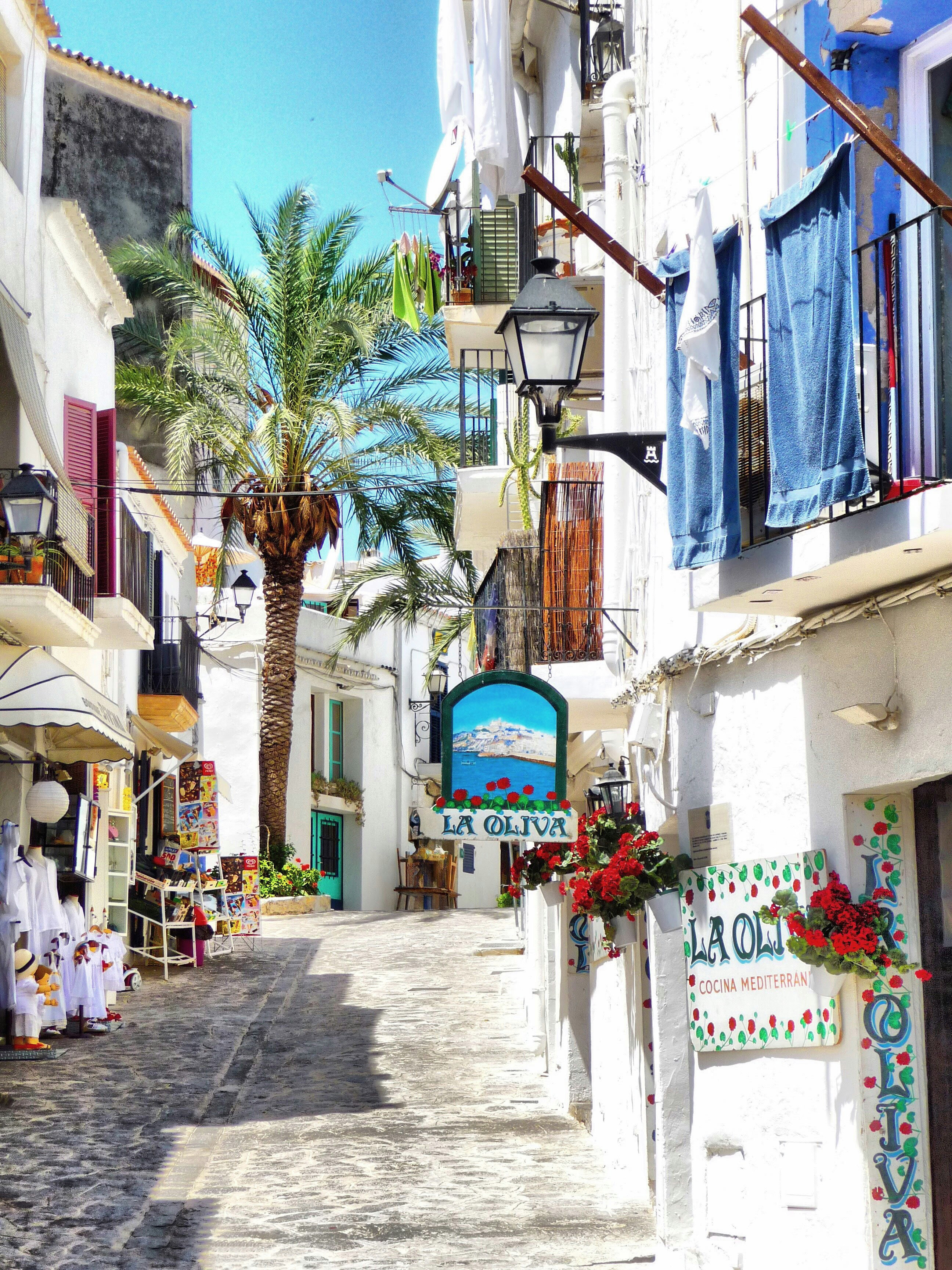 White-washed Mediterranean alley, palm tree, red flowers, La Oliva restaurant.