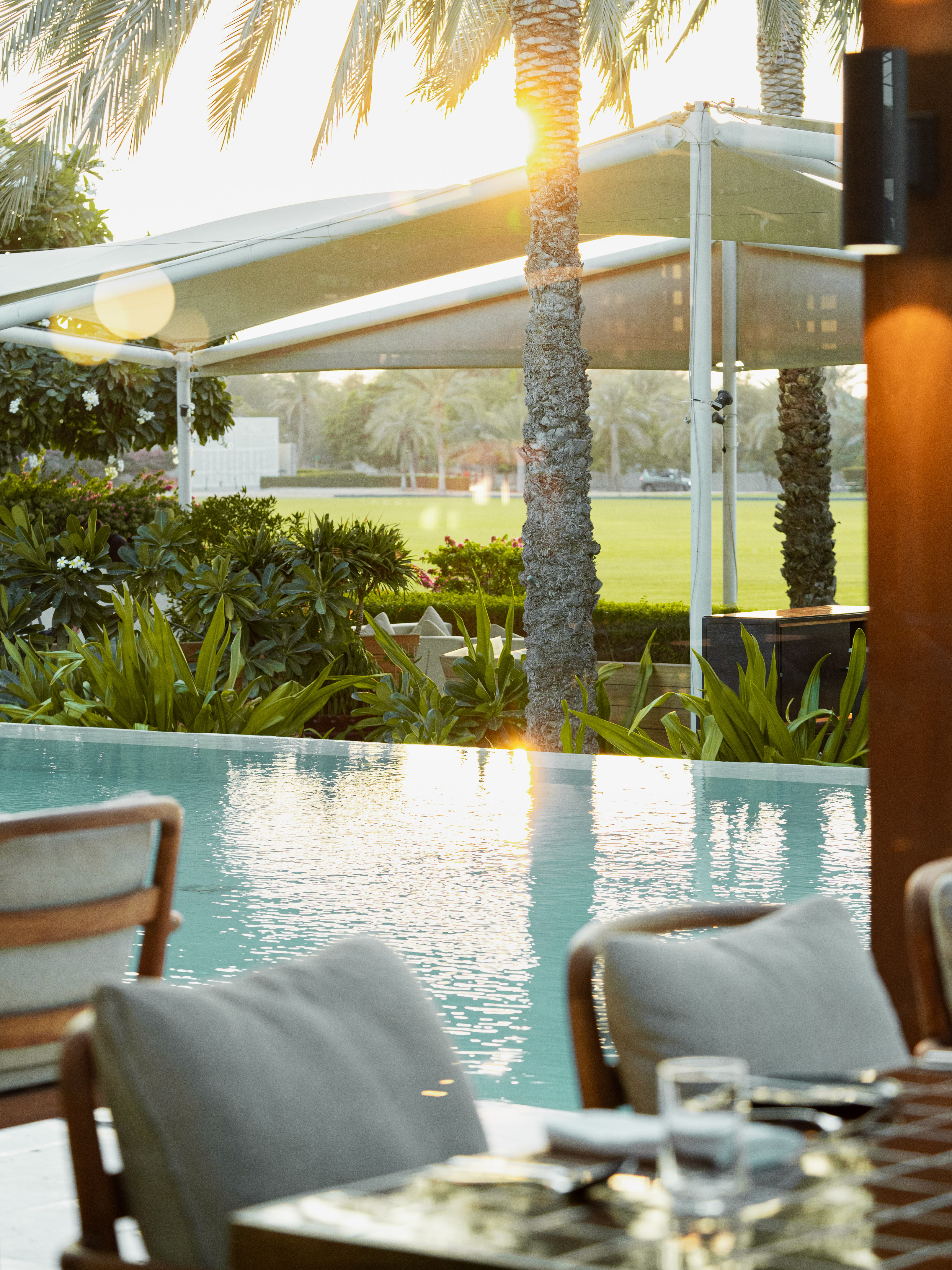 Luxury outdoor dining beside resort pool, sunlit palm trees, tropical plants.